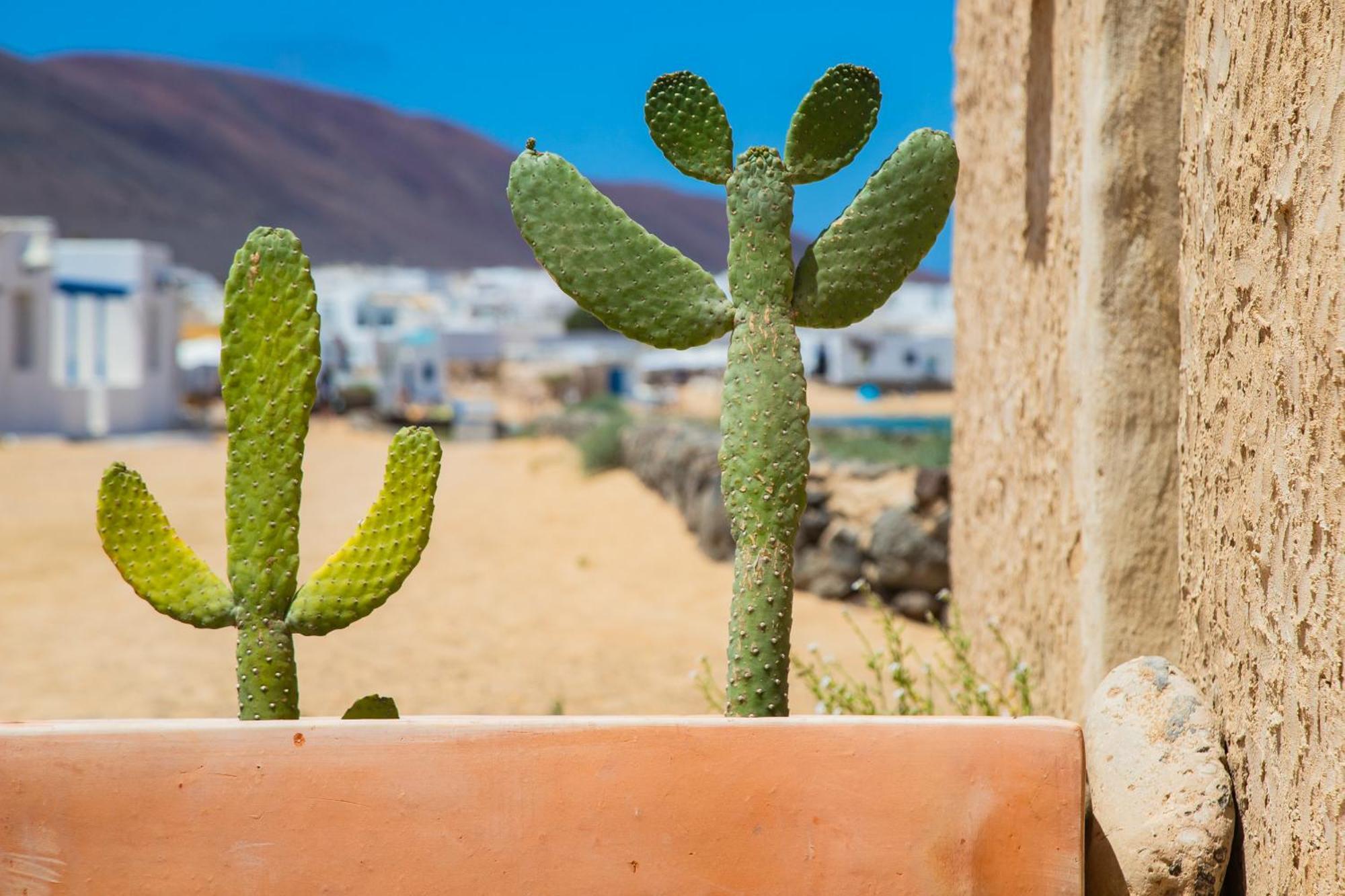 Eslanzarote La Duna House, Wifi, Sea Views Caleta de Sebo Exterior foto